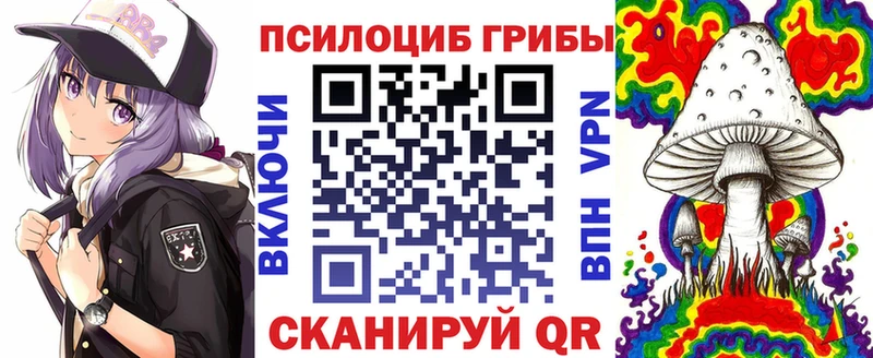 как найти   Устюжна  Галлюциногенные грибы GOLDEN TEACHER 