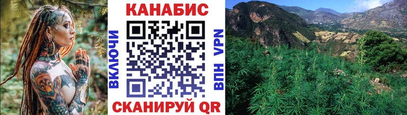 продажа наркотиков  Устюжна  Канабис семена 